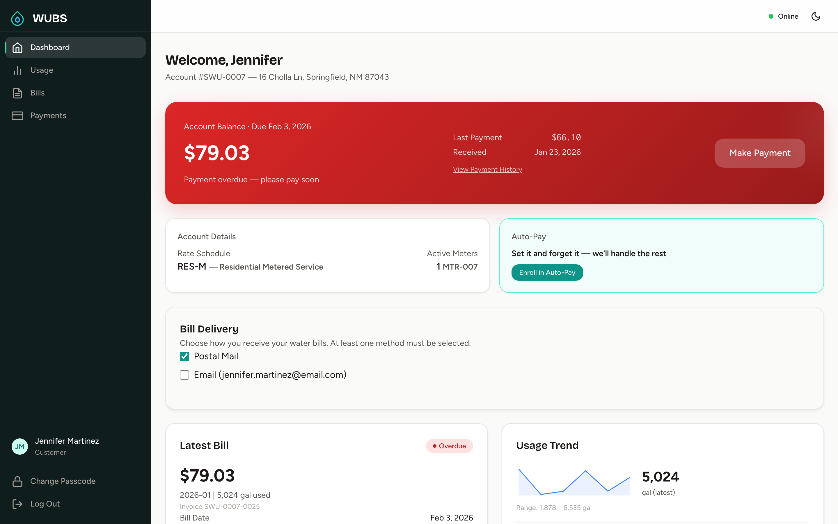 Customer self-service portal showing account balance, latest bill, usage trend, and payment options